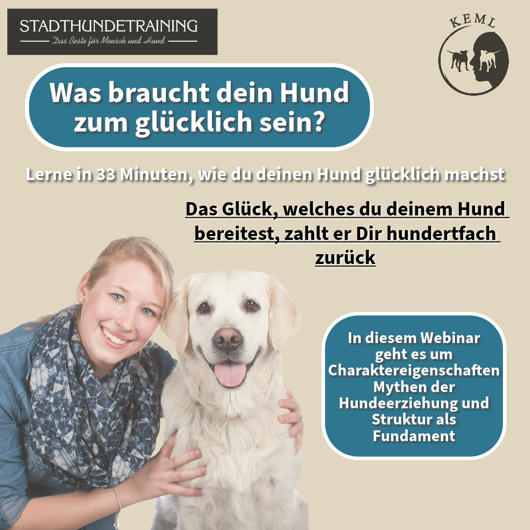 Glücklich sein - Was braucht Dein Hund zum Glück