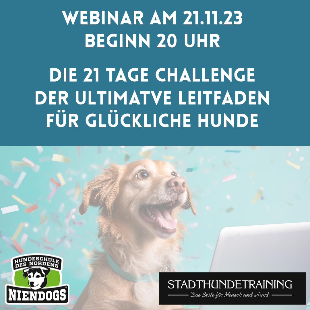 21 Tage Online Challenge - Der ultimative Leitfaden für glückliche Hunde