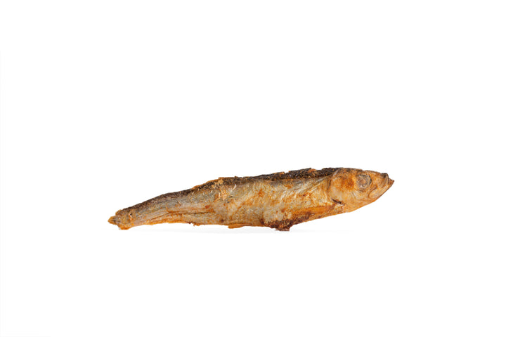 Sprotten gefriergetrocknet